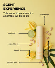 DESIGNME BOUNCE.ME Curl Spray Gel