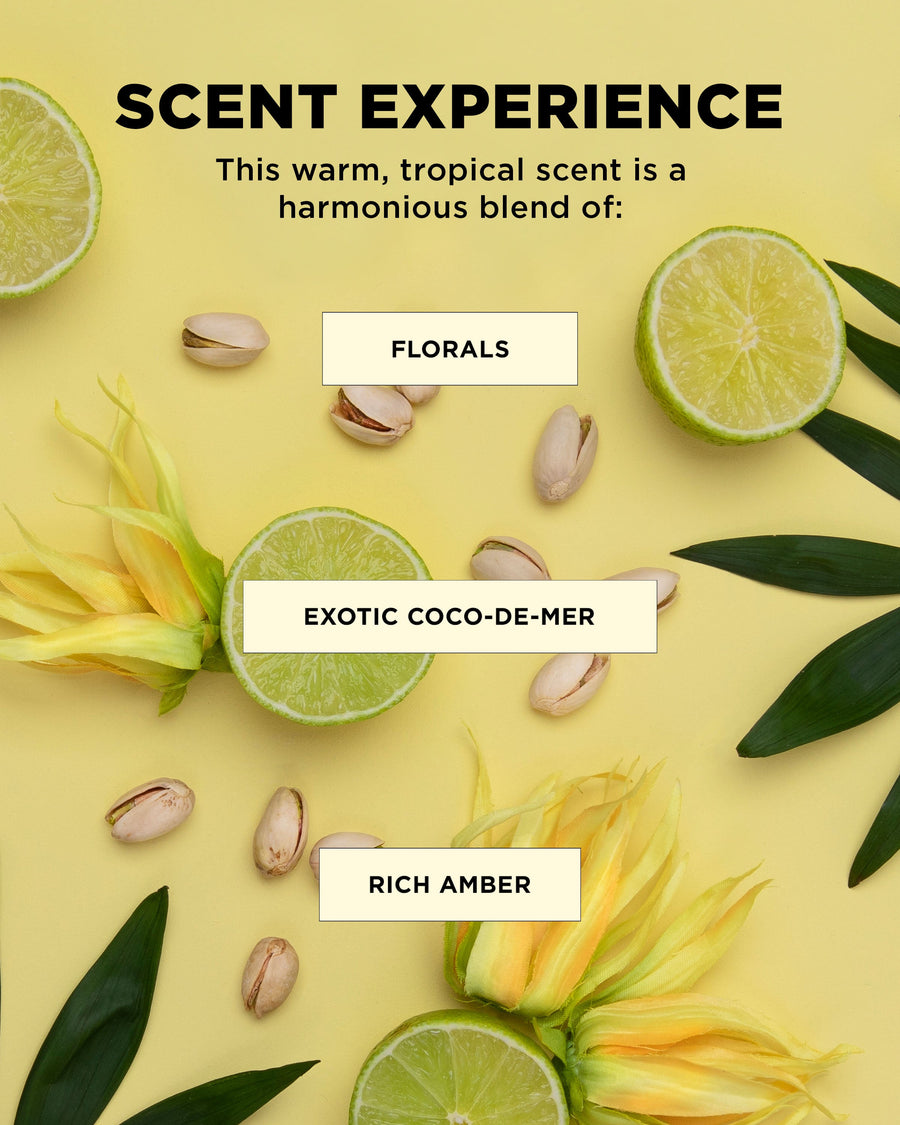 DESIGNME BOUNCE.ME Hair in the Clouds Curl-Defining Kit